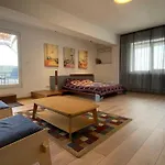 Studio Top ブカレスト